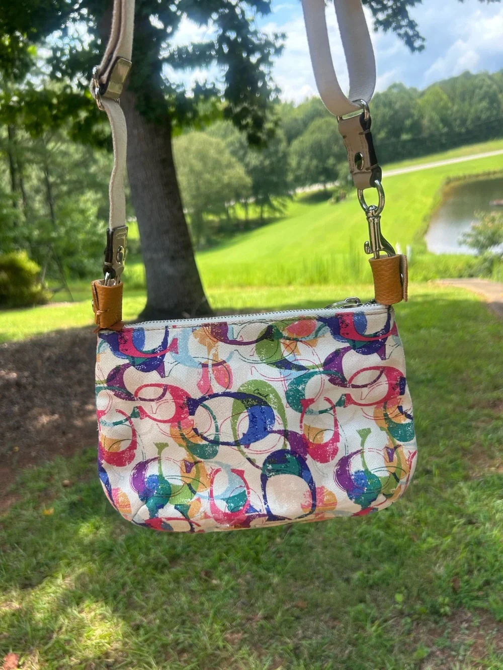 Coach Poppy Multicolor Graffiti Signature Canvas Crossbody Bag | Y2K Art Print